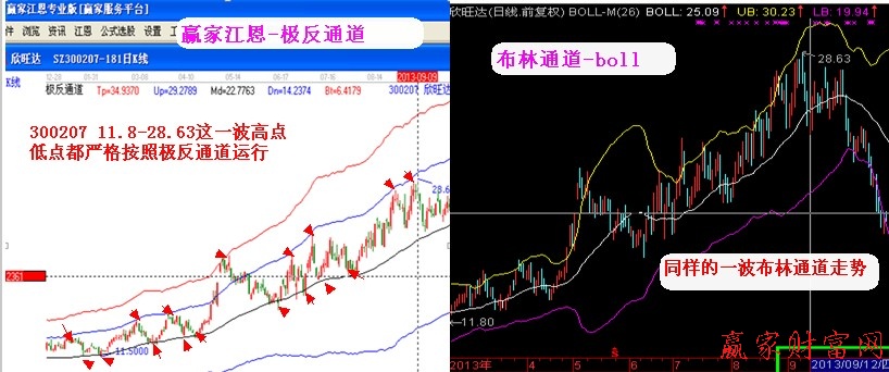 極反、布林