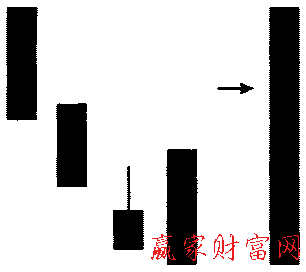 藏嬰吞沒形態(tài)的簡(jiǎn)化