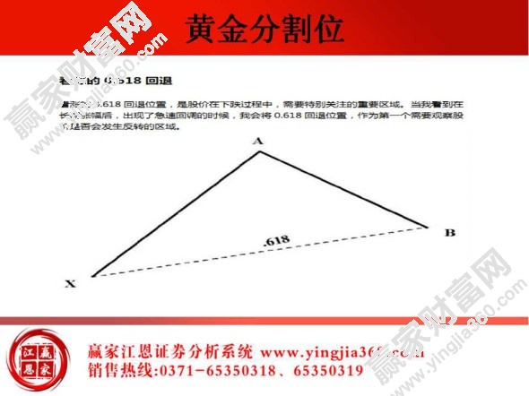 黃金分割位