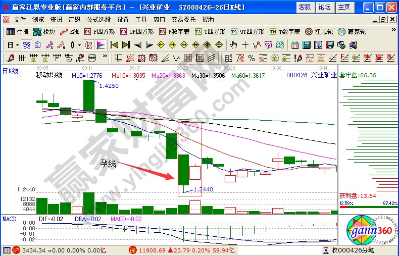 興業(yè)礦業(yè)