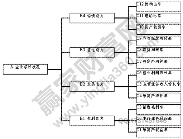 企業(yè)成長狀況