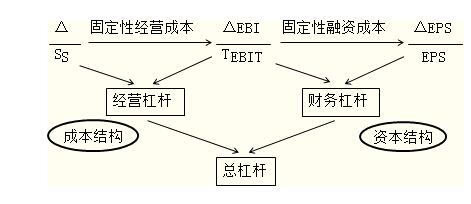 財務(wù)杠桿.jpg