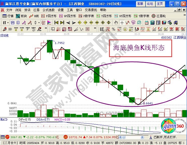 海底摸魚K線圖解