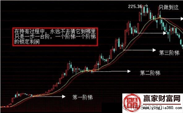 亞當理論實例