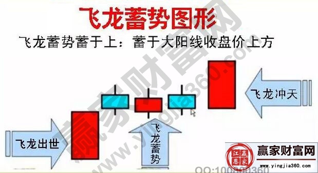 飛龍蓄勢蓄于上