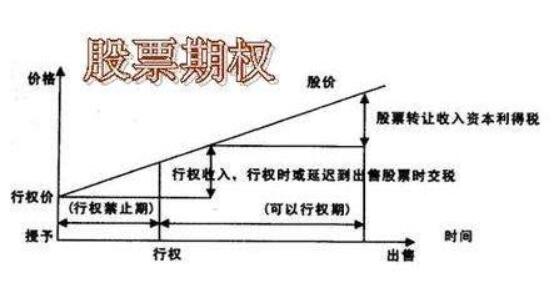 股票期權(quán)制度